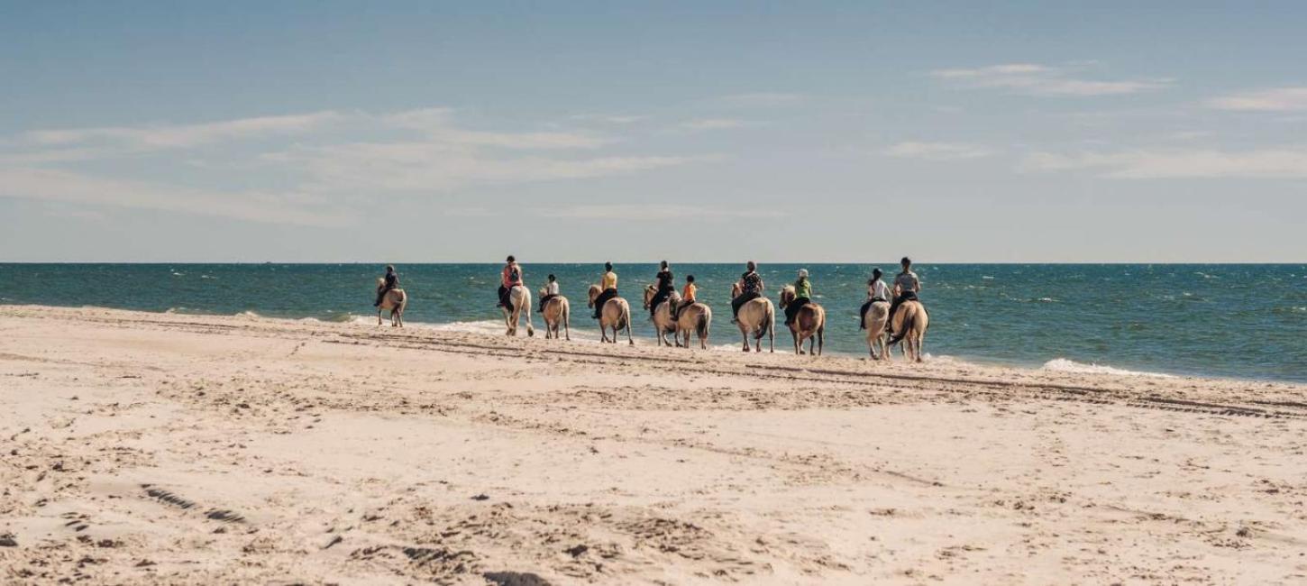 Ridetur langs vandkanten