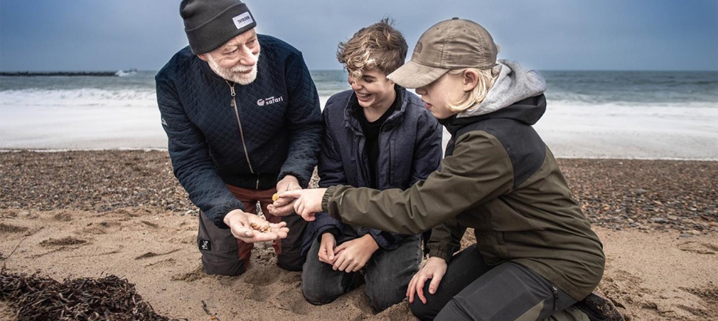 Ravsafari ved Vesterhavet - børn