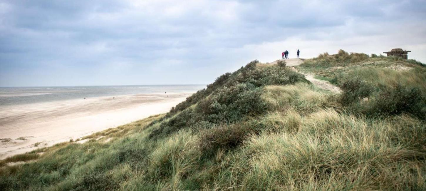 Danish North Sea Beach