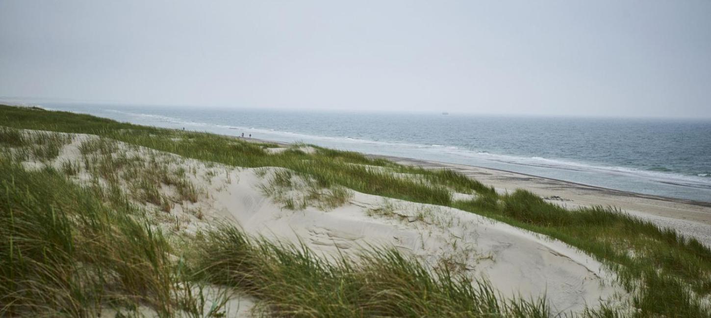 henne-strand-klitter-sand-danhostel