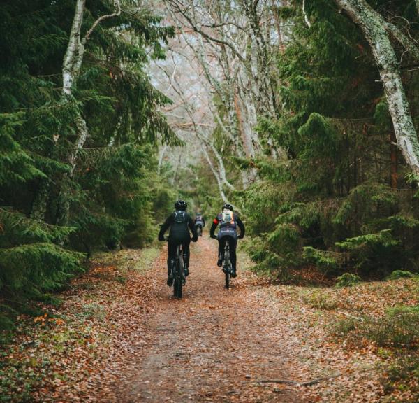 Mountainbike i skoven